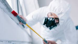 Best Pest Control for Multi-Family Homes  in USA